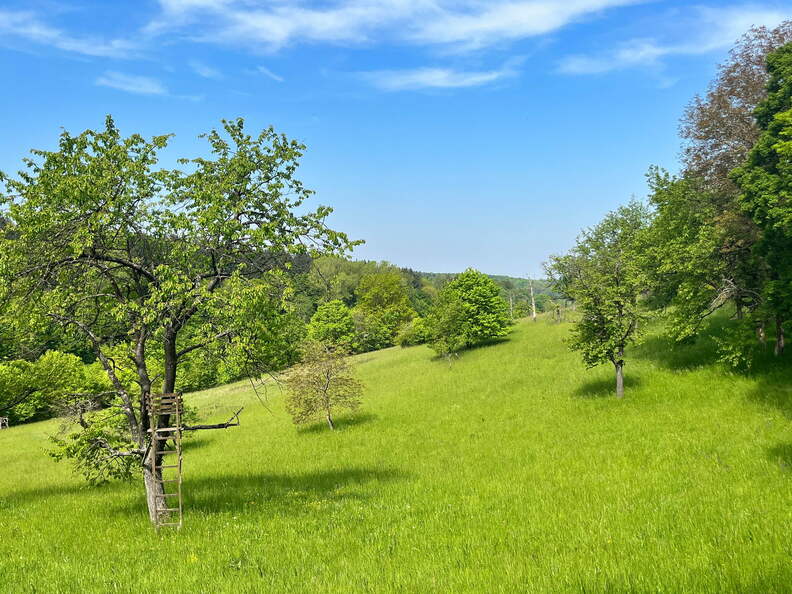 22-05-08 11-04-45 0763